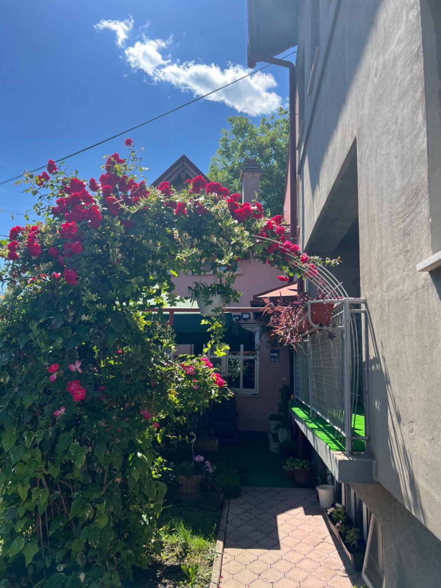 Kod Ismete Apartament